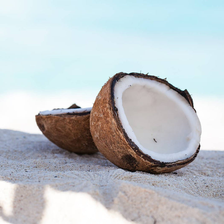 5 oz Cream Jar Candle: White Driftwood & Coconut