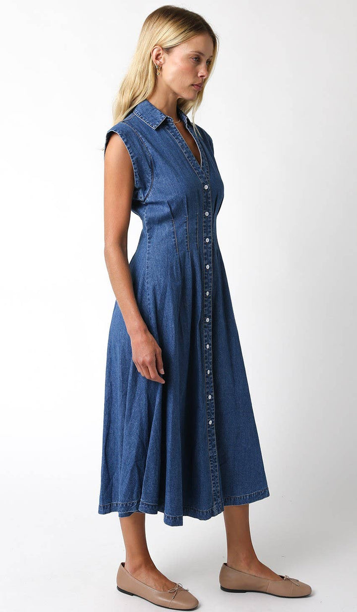 Sunday Denim Dress