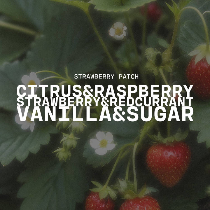 Wax Melts: Strawberry Patch